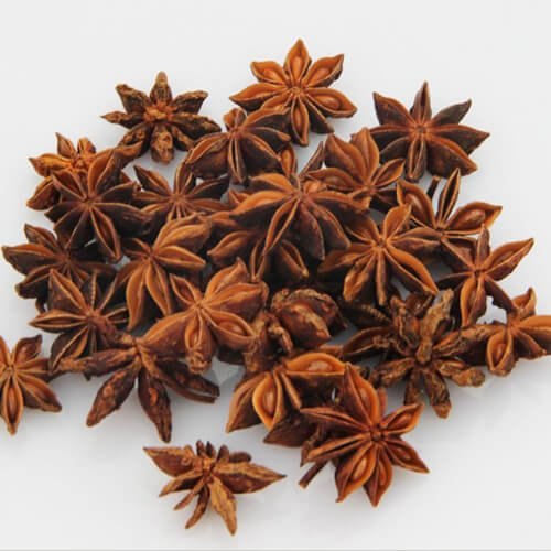 FUDCO STAR ANISE 50G BADIAN