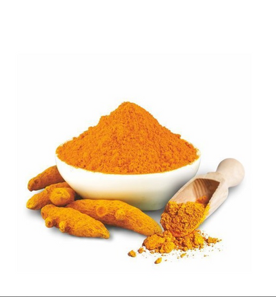 FUDCO TURMERIC POWDER 100G