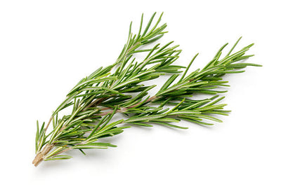 GREEN FIELDS ROSEMARY 100G