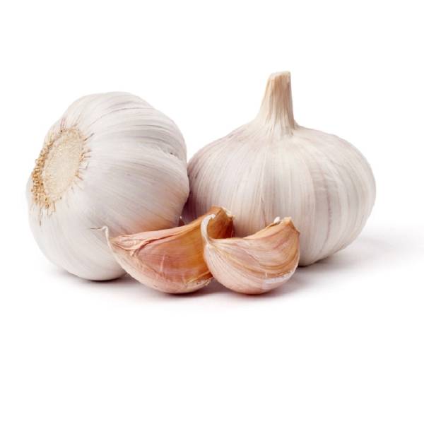 Garlic (App 750G)