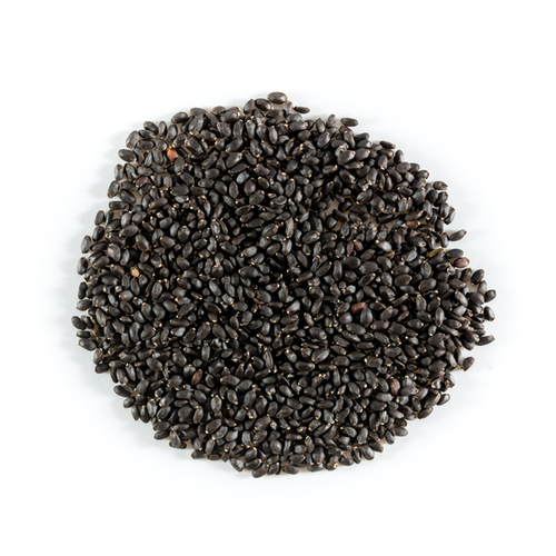 JAY BASIL SEEDS TUKMARIA 100G