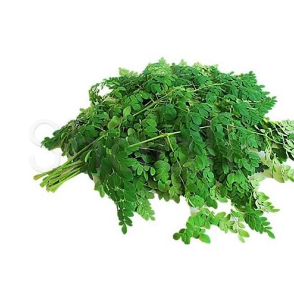 Fresh Drumstick Leaves / Murungai Keerai (approx 250g)