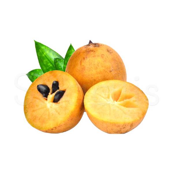 Sapota fruit (3 Pack) Approx 200g