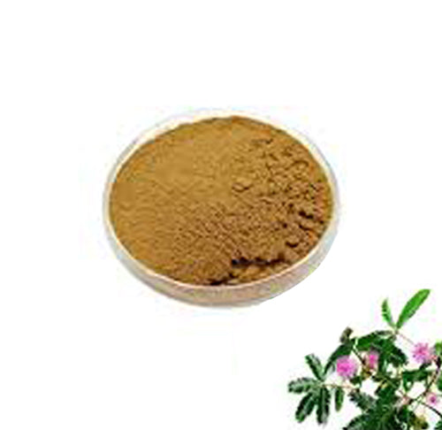 Thotta Sinungi Powder 50 gram