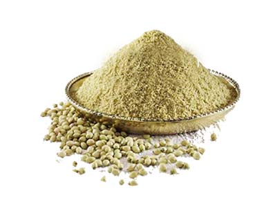 D/H CORIANDER POWDER 500G