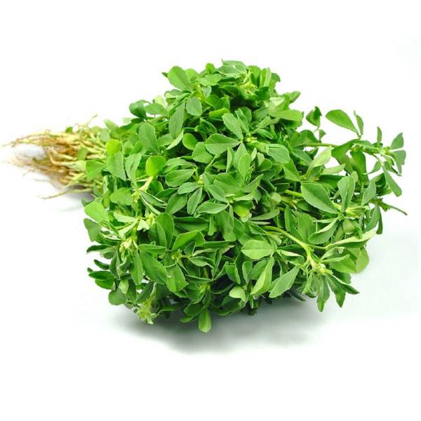 Fresh Methi Leaf Bunch