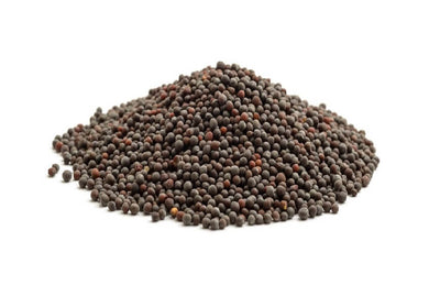 FUDCO MUSTARD SEEDS 100G