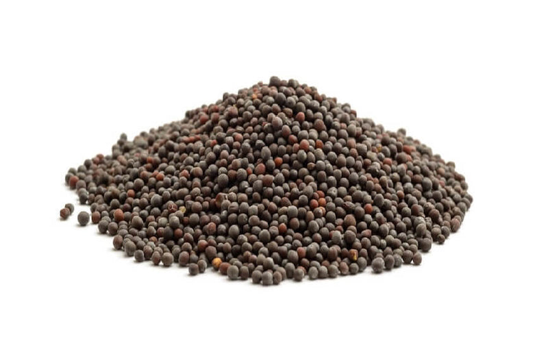 BABA MUSTARD SEEDS 1KG