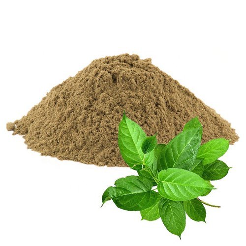 Sirukurinjan Powder 50gm