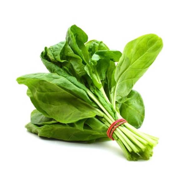 Fresh Spinach Bunch