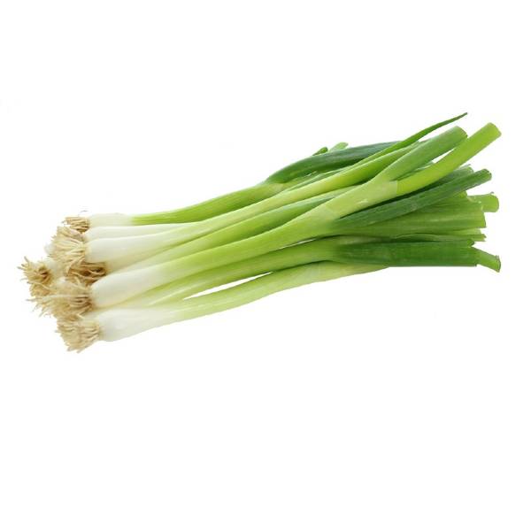 Spring Onion Bunch